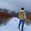 logan_n